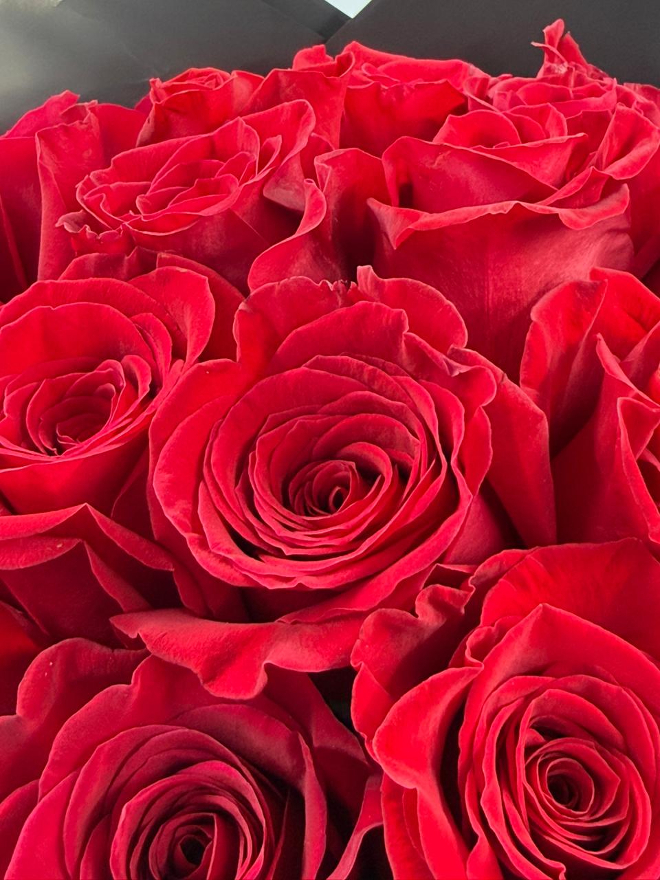 Red Roses