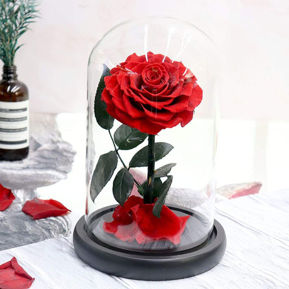 Forever Rose