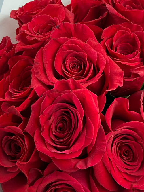 20 Red Roses