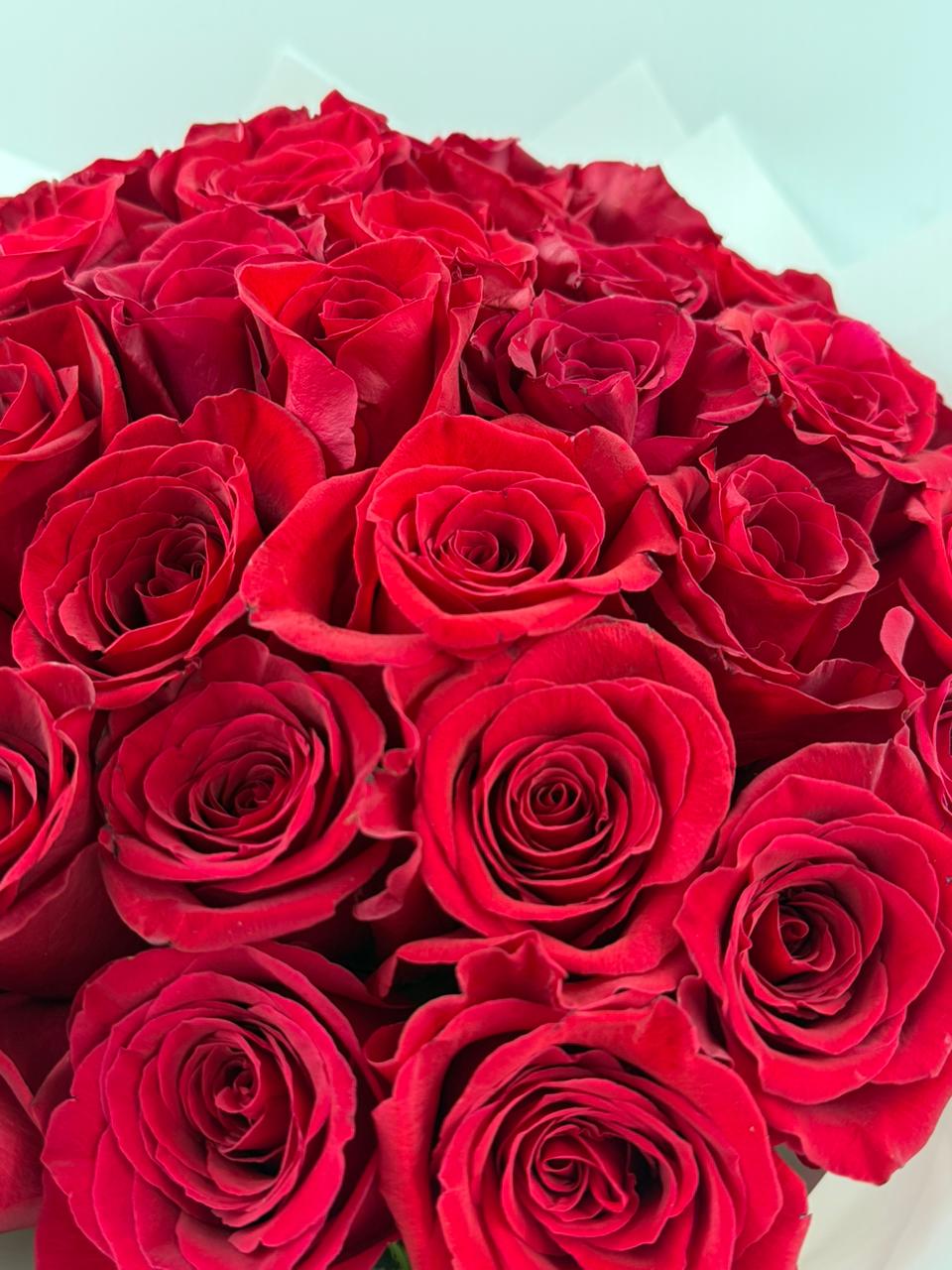51 Red Roses