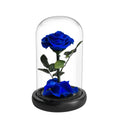 Forever Rose  blue